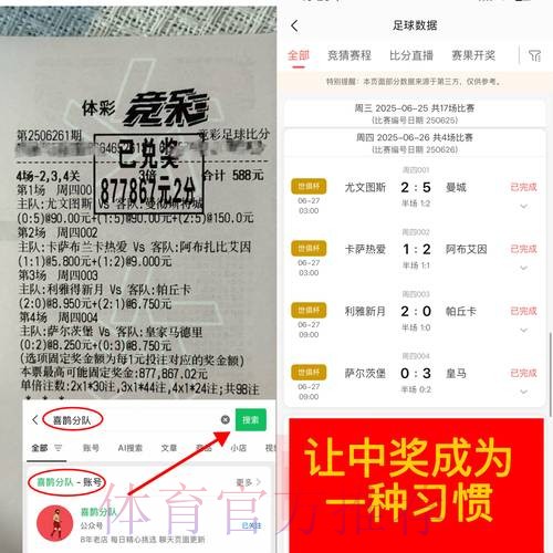世界杯在线下注平台优势深度比较